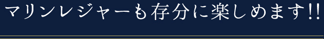 マリンレジャーも存分に楽しめます!!